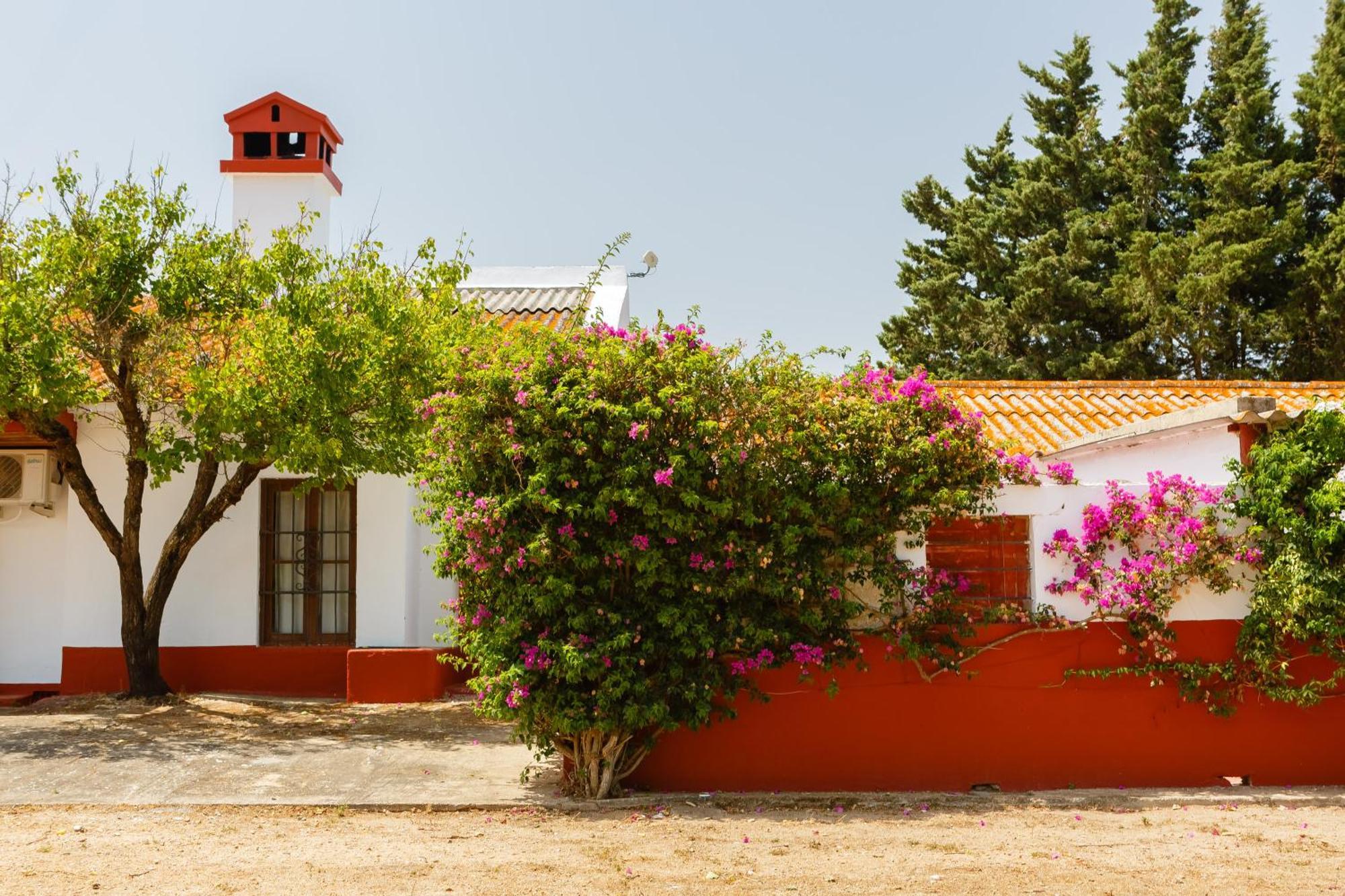 Casa Dehesa De Las Yeguas Καντίζ Εξωτερικό φωτογραφία